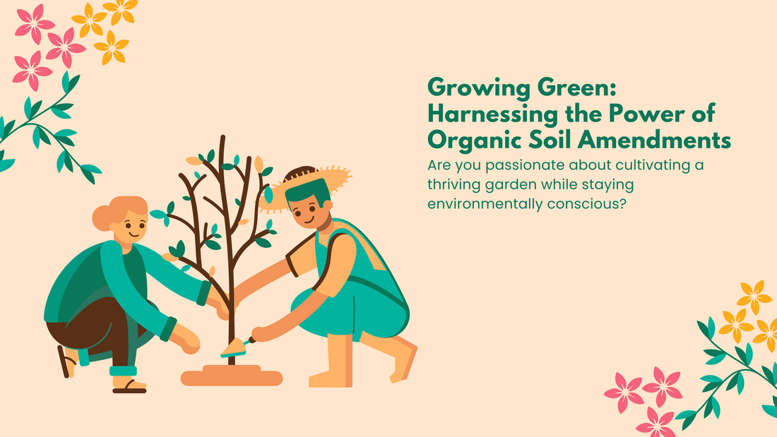 Growing Green: Harnessing the Power of Organic Soil Amendments