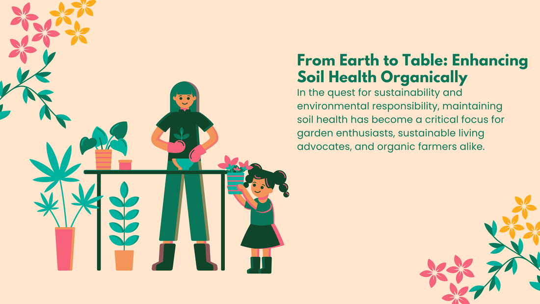 From Earth to Table: Enhancing Soil Health Organically