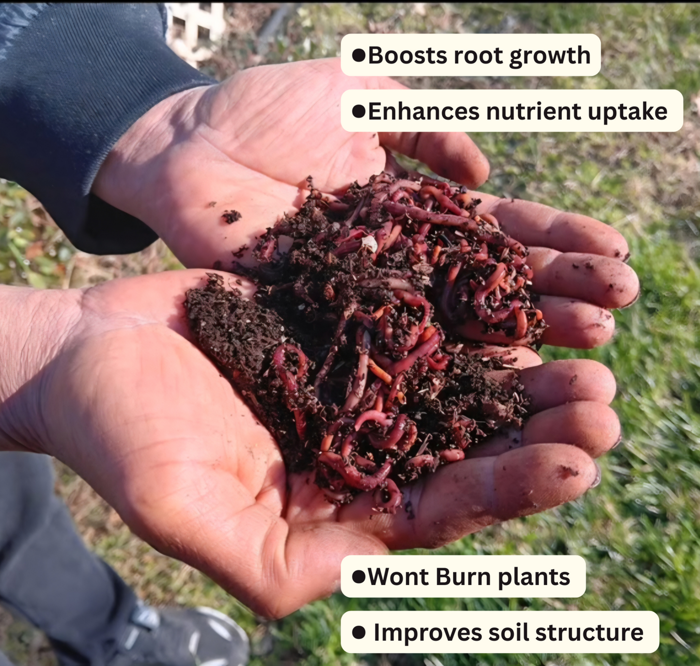 Ready2Wiggle Worm Castings