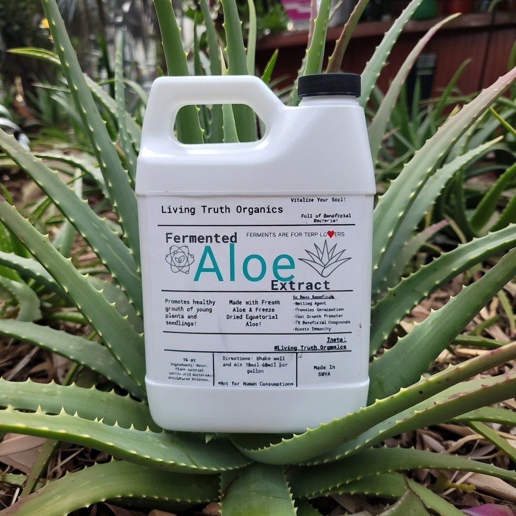 Fermented Aloe Extract – East Coast Organics