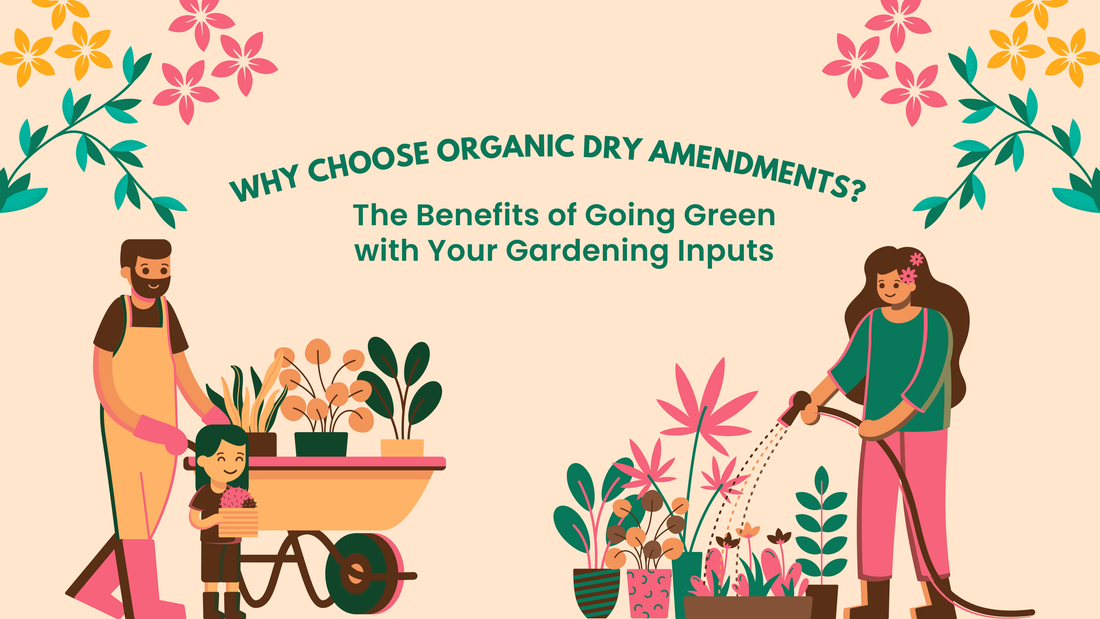Why Choose Organic Dry Amendments? The Benefits of Going Green with Your Gardening Inputs