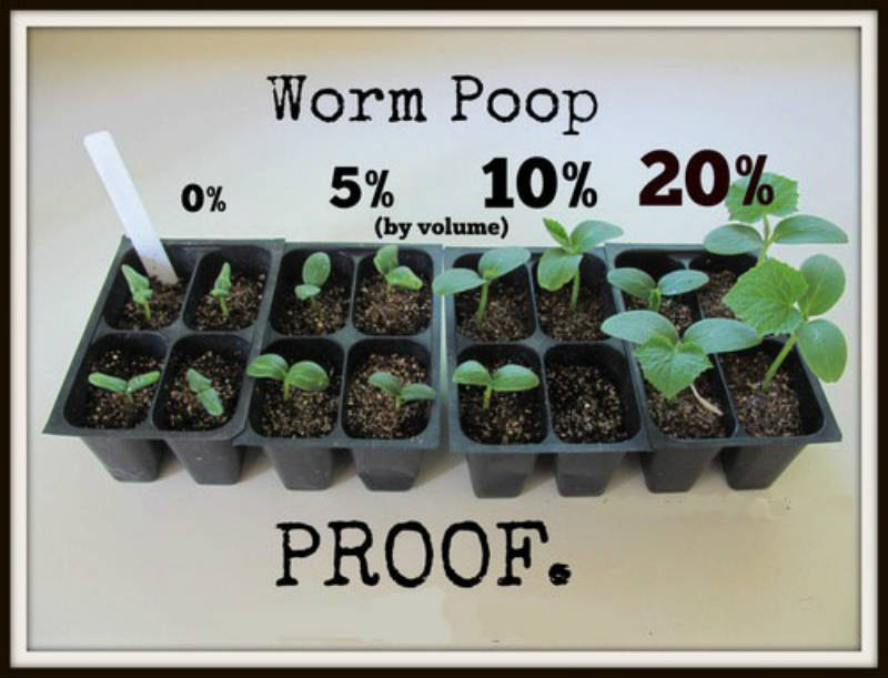 Ready2Wiggle Worm Castings